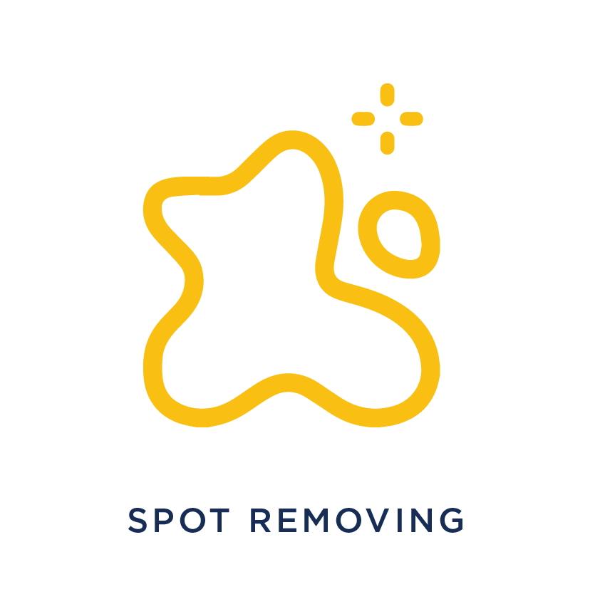 best spot removing laundry service in Pune Wakad hinjewadi